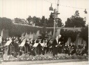 07409PFreilicht